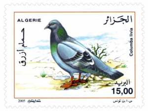 Pigeons (Timbre poste Algérie)