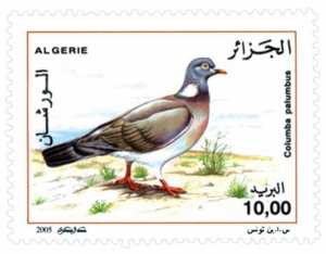 Pigeons (Timbre poste Algérie)