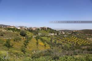 Village des Ouled Bentalha (Ain Kebira)