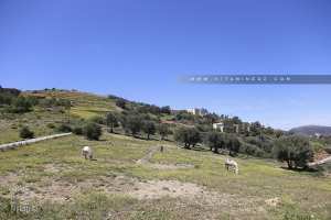 Dechra des Ouled Bouchaib (Ain Kebira)