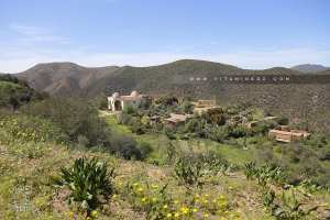 Un petit Douar de Ain Kebira (Tlemcen)
