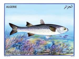 POISSONS (Timbre poste Algérie)