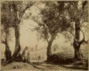 Tlemcen. Marabouts en ruines (Image de propagande coloniale)