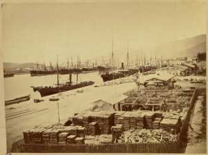 Bône (Algérie) (Image de propagande coloniale)