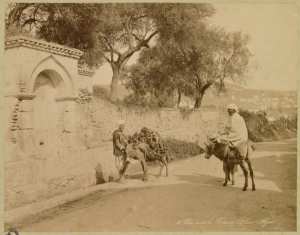 Chemin de la Fontaine Bleue (Alger) (Image de propagande coloniale)