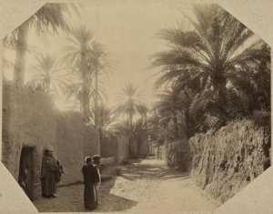 Les villas et le boulevard à Sidi-Okba (Image de propagande coloniale)