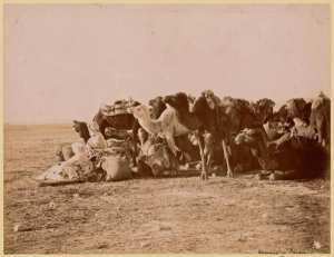 Caravane au Sahara (Image de propagande coloniale)