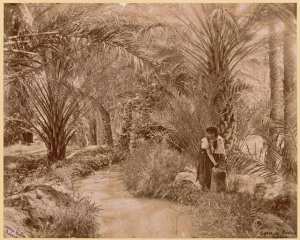 Oasis de Biskra - Sahara (Image de propagande coloniale)