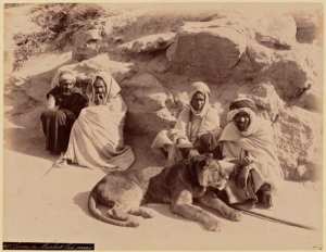 Lionne du marabout des oasis (sud oranais) (Image de propagande coloniale)