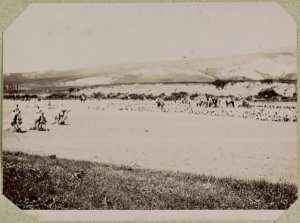 Une fête arabe (Image de propagande coloniale)