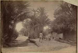 Environ[s] de Biskra (Image de propagande coloniale)