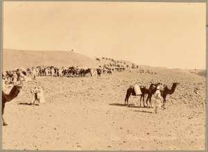 Dans le Tademaït. Le convoi de la colonne du Tidikelt (Image de propagande coloniale)