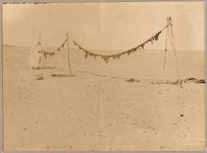 Sahara. Séchage de la viande de chameau (Image de propagande coloniale)