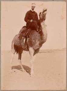 Marouf [dromadaire] monté par l'adjudant Paté (Image de propagande coloniale)