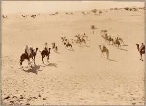 Escorte de la mission Flamand. L'arrivée au puits [le 11 décembre 1899 à Inifel] (Image de propagande coloniale)