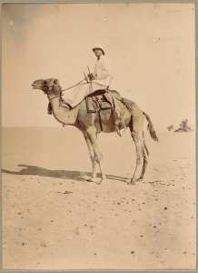 A méhari [officier monté sur dromadaire] (Image de propagande coloniale)