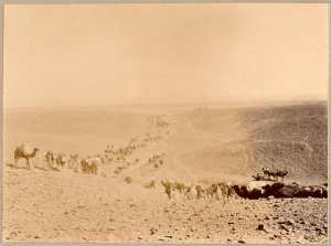 Un convoi de marche dans le Djebel [Mission Flamand '] (Image de propagande coloniale)
