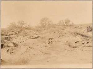 Un coin de l'Oued-Mya (Image de propagande coloniale)