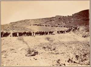 La traversée d'un col [de Guettara par la colonne du Tidikelt '] (Image de propagande coloniale)