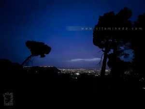 La nuit tombée à la foret de Tlemcen ...