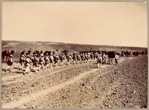 [Colonne du Tidikelt] (Image de propagande coloniale)