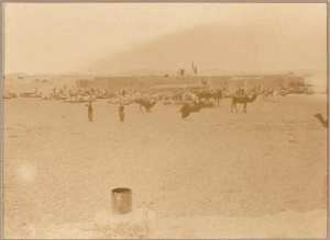 Hassi-Inifel. Arrivée d'un convoi de ravitaillement [Mission Flamand 9-10 décembre 1899'] (Image de propagande coloniale)