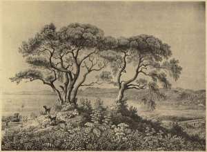 [Alger]. Mustapha.Champ de Manoeuvres (Otth). Vue de l'aqueduc sur l'emplacement duquel a été construit l'usine à Gaz ; Co (Image de propagande coloniale)