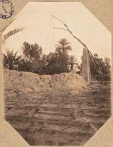 Béni-Abbès.Un puits dans la palmeraie (Image de propagande coloniale)
