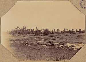 L'oasis de Fendi (Image de propagande coloniale)