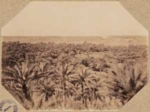 Occupation des oasis sahariennes. Béni-Abbès. Le ksour (Image de propagande coloniale)