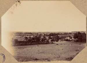 Mazzert. Vue du camp de la palmeraie (Image de propagande coloniale)