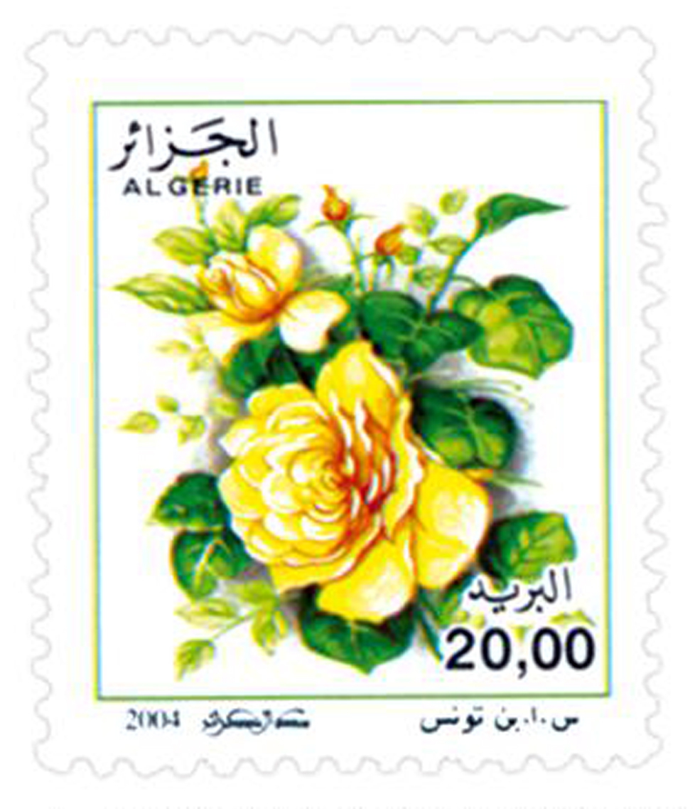 Rosa x odorata (Timbre poste Algérie)