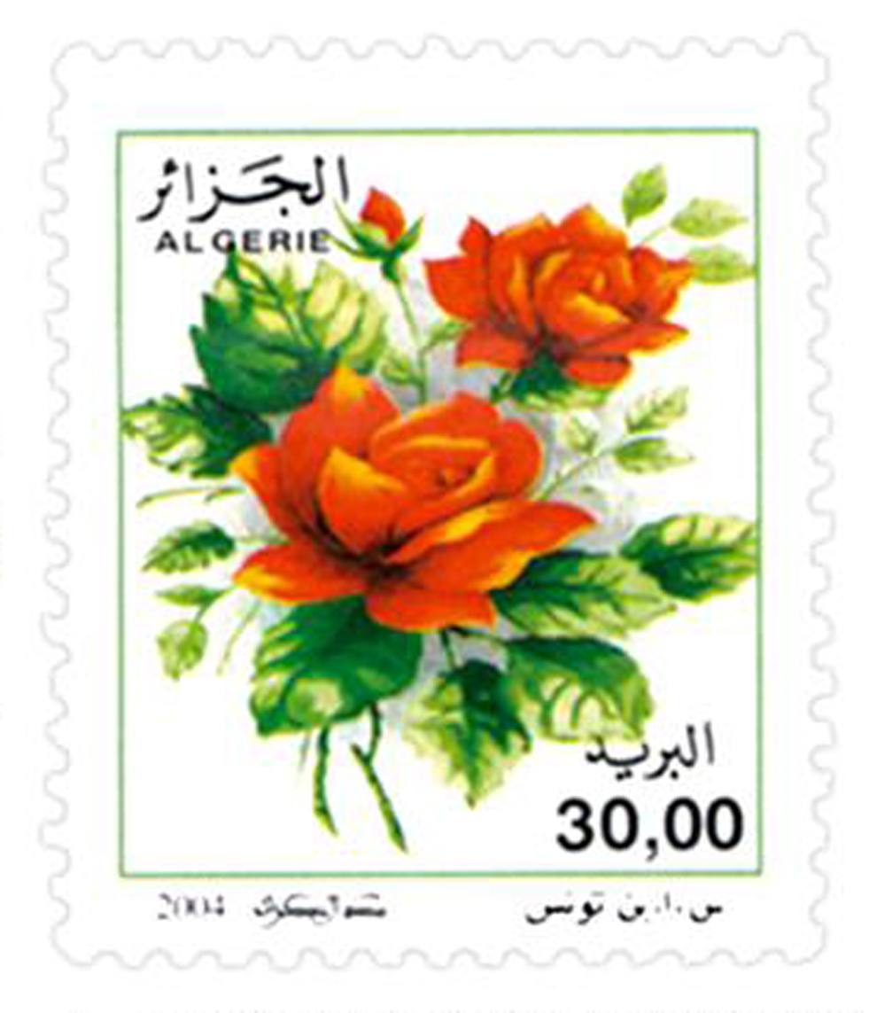 Rosa x odorata (Timbre poste Algérie)