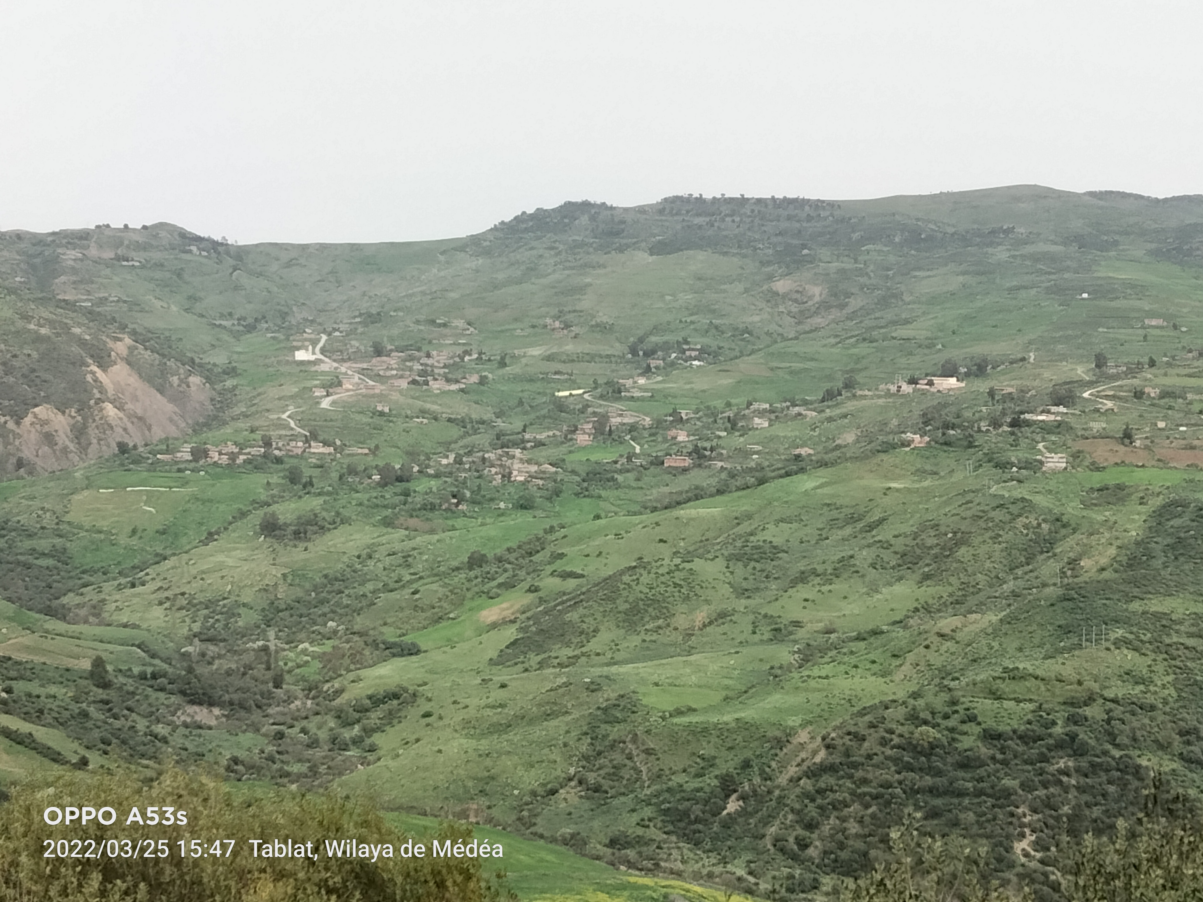 اهل الذراع الخصراء