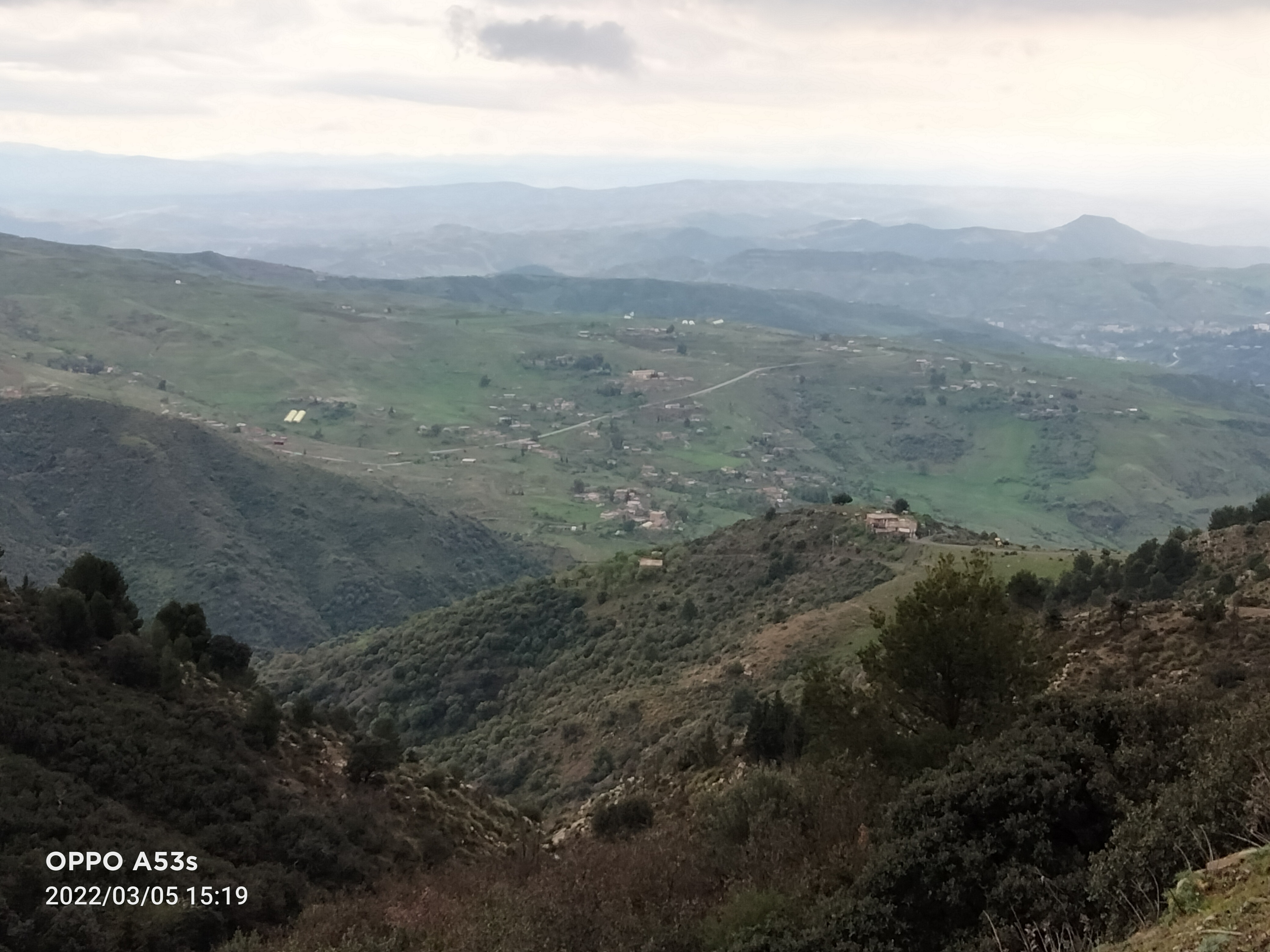 صورة لأهل الذراع من الغابة