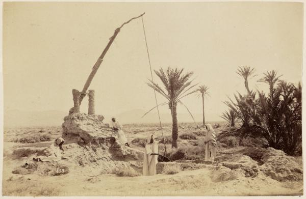 Sahara algérien. Puits à irrigation au Sahara (Image de propagande coloniale)