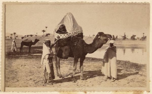 Chameau avec bassour (Image de propagande coloniale)