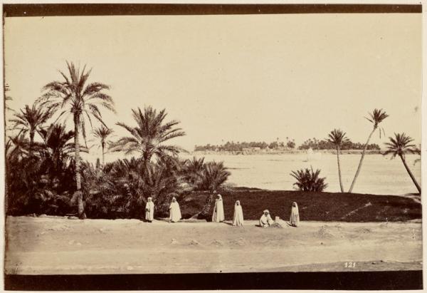 [Vue générale de Biskra'] (Image de propagande coloniale)