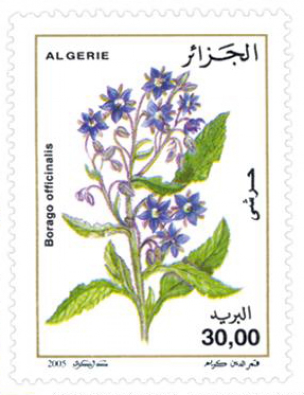 Fleurs (Timbre poste Algérie)