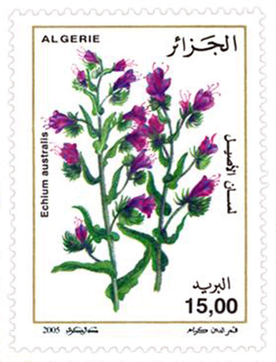 Fleurs (Timbre poste Algérie)