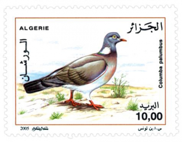 Pigeons (Timbre poste Algérie)