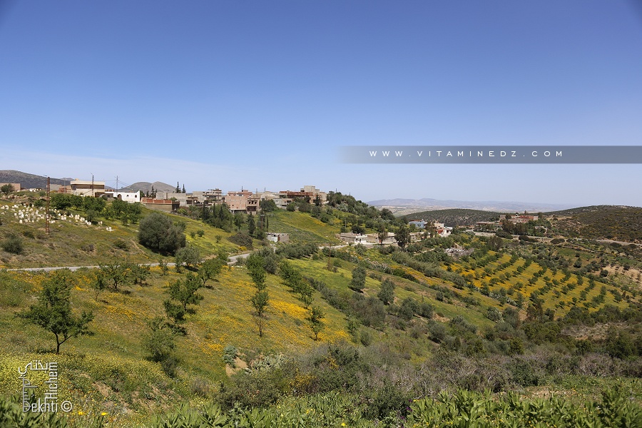 Village des Ouled Bentalha (Ain Kebira)