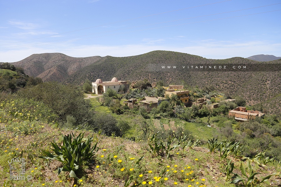 Un petit Douar de Ain Kebira (Tlemcen)