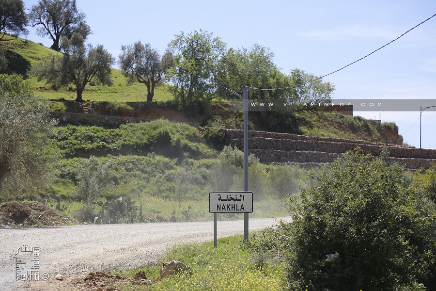 Douar Nakhla (Ain Kebira, Tlemcen)