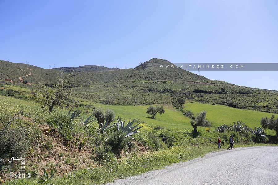 Tlemcen - Ain Kebira et sa belle nature