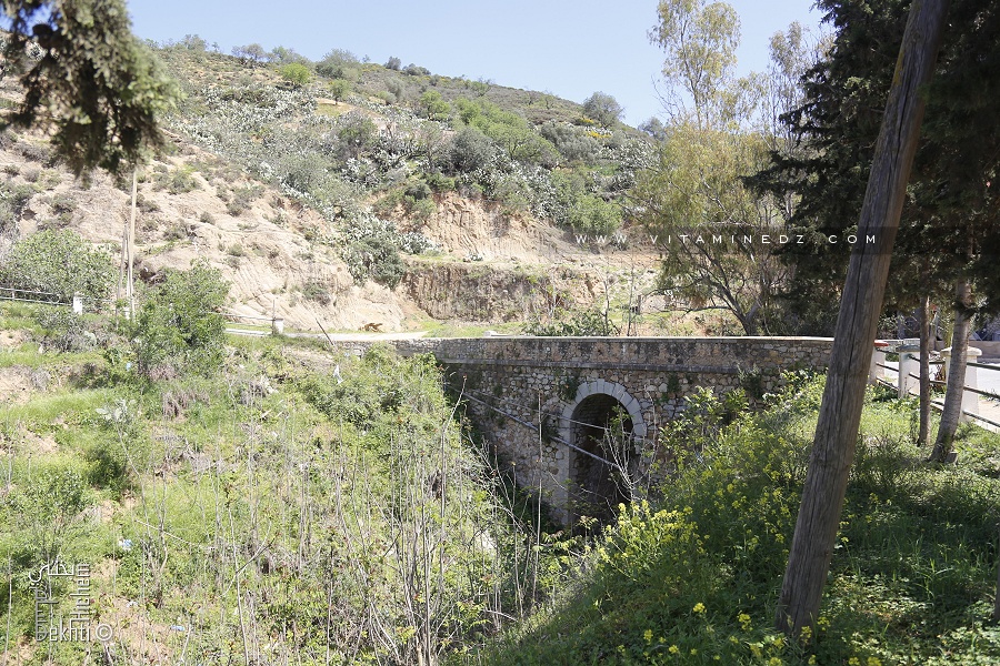 Pont ancien à l'entrée de Nedroma par la W38