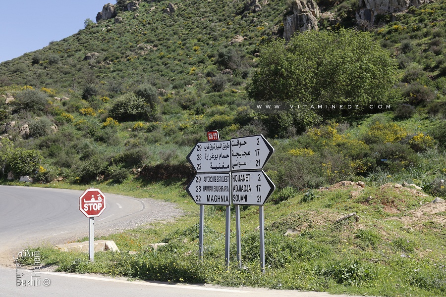 RN99 vers Maghnia et bifurcation vers Houanet