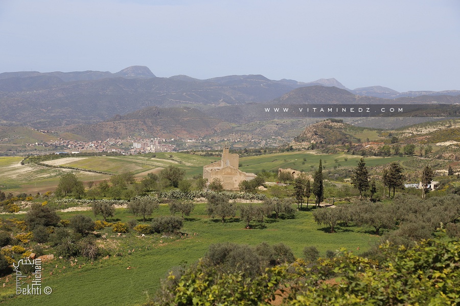 Ancienne ferme coloniale entre Nedroma et Djebala
