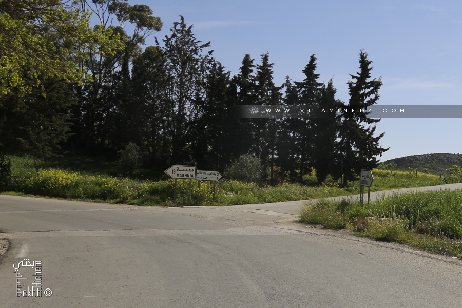 Route N99 de Djebala vers Maghnia