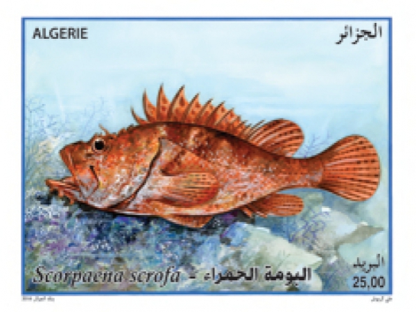 POISSONS (Timbre poste Algérie)